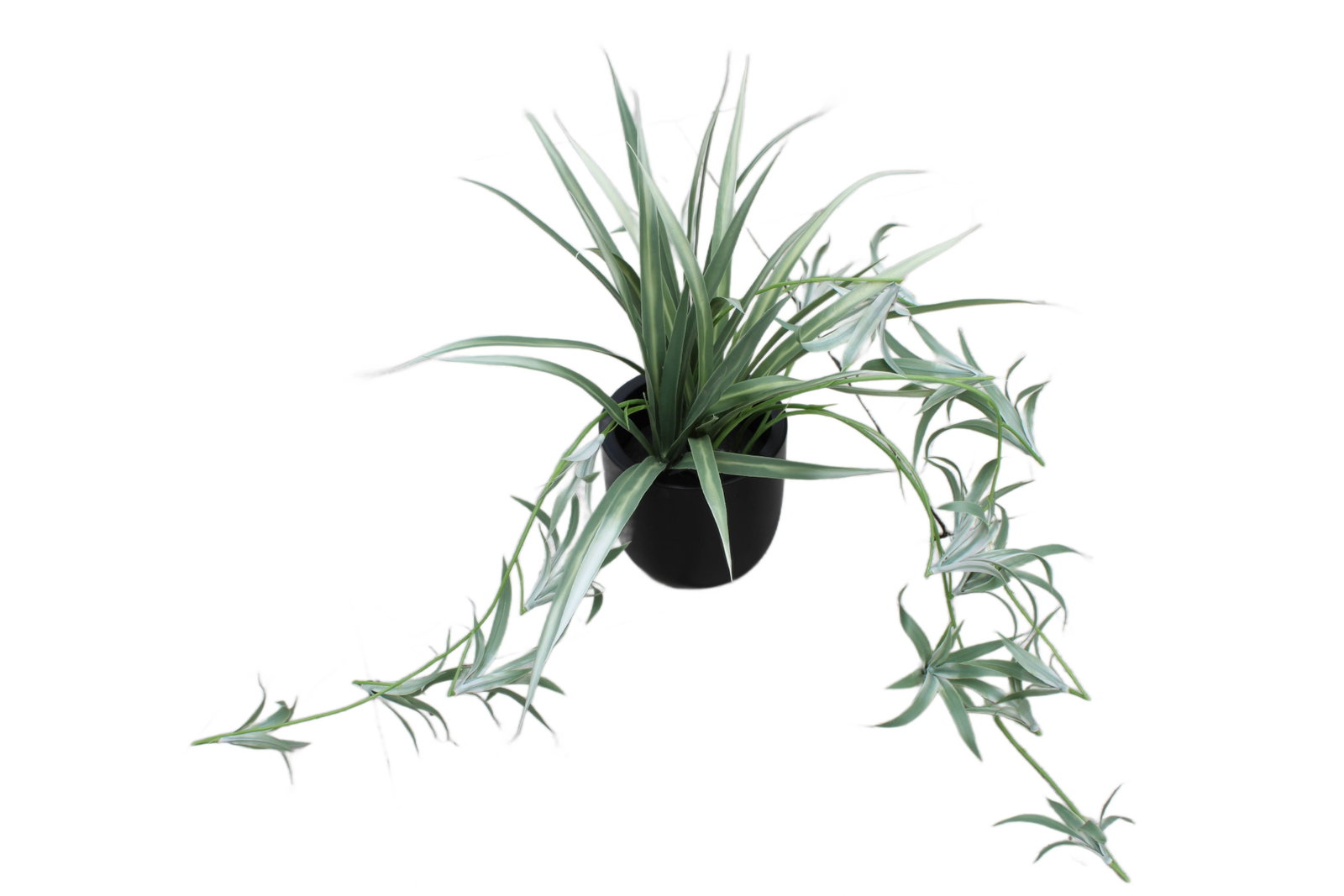 Small Artificial Plant in Small Black Round Planter: Small Artificial Plant in Small Black Round Planter. Flower Pot: 5.5" H x 5" W x 5" D. Total: 15" H x 10" W x 10" D.