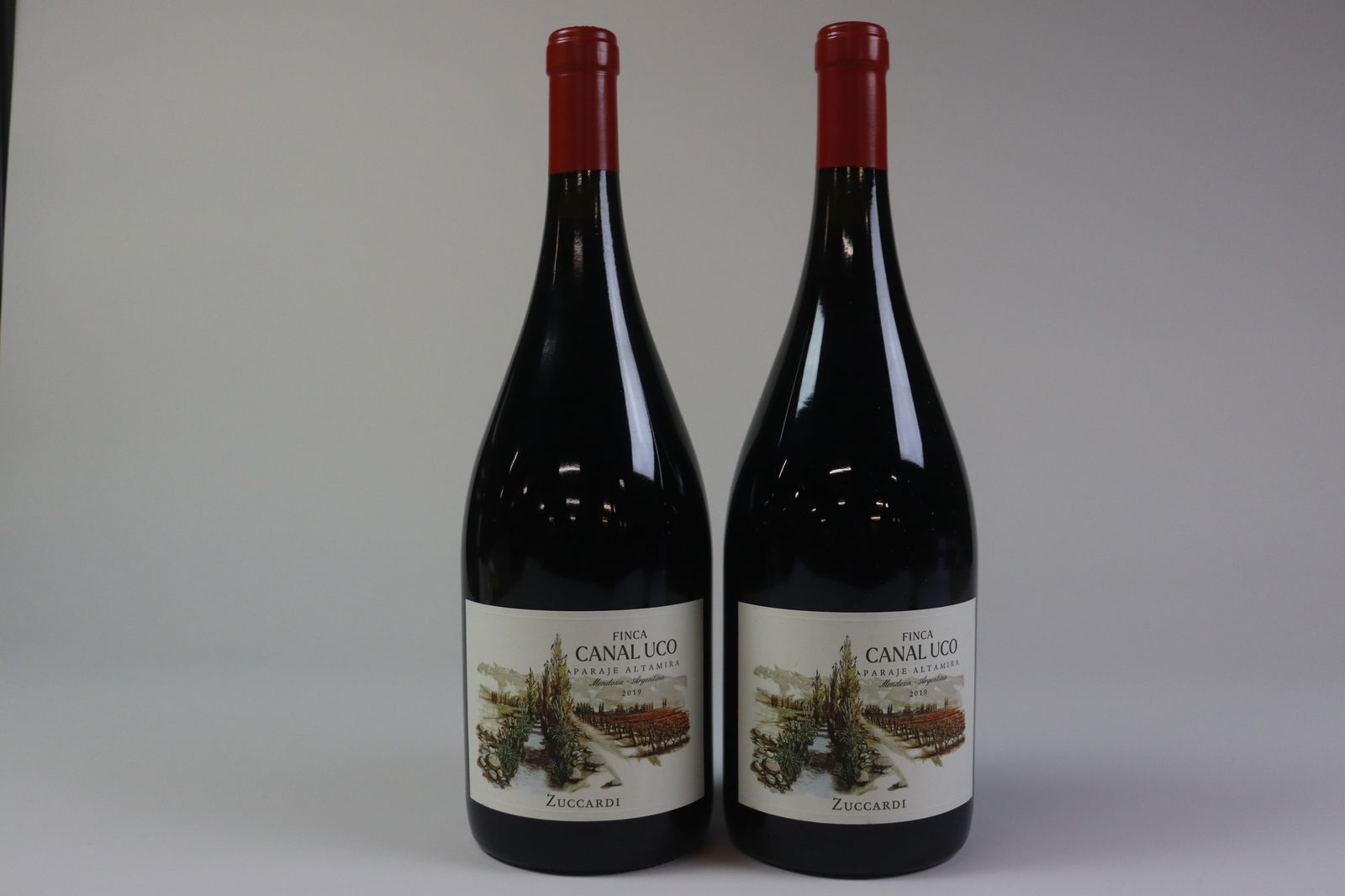 † Malbec 'Finca Canal Uco' 2019: Malbec 'Finca Canal Uco' 2019 Familia Zuccardi, Altamira Excellent level and appearance R 2 magnums - 1.5ltr Per lot €180 - 260Sizemagnums - 1.5ltrConditionExcellent level and