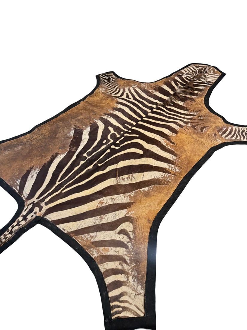 Vintage Zebra Hide Rug with Felt Backing (1 of 7)
