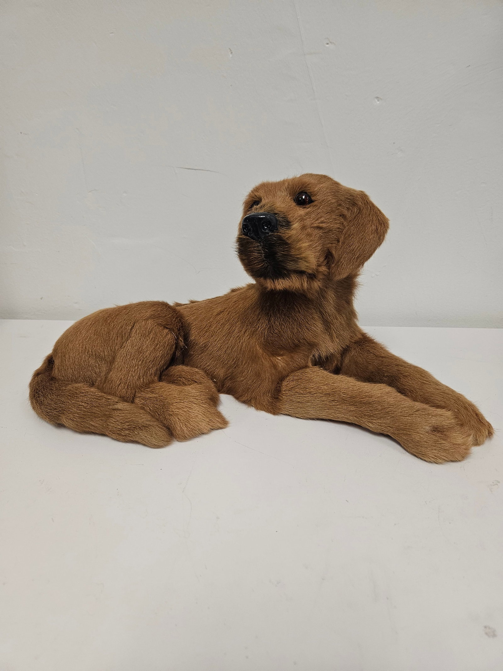 Vintage Lamb Fur Golden Retriever Figure: A vintage decorative figure of a reclining Golden Retriever puppy, likely dating to the mid-20th century. This charming piece is constructed from genuine lamb fur meticulously stretched over a rigid