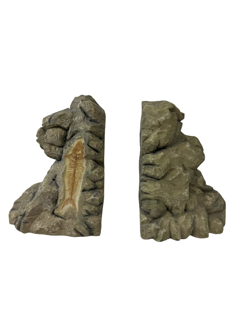 Pair of Fossil-Inspired Decorative Resin: A pair of decorative bookends designed to resemble fossil-bearing rock formations. These cast resin pieces feature detailed representations of fish skeletons, ammonites, sea shells, and a starfish