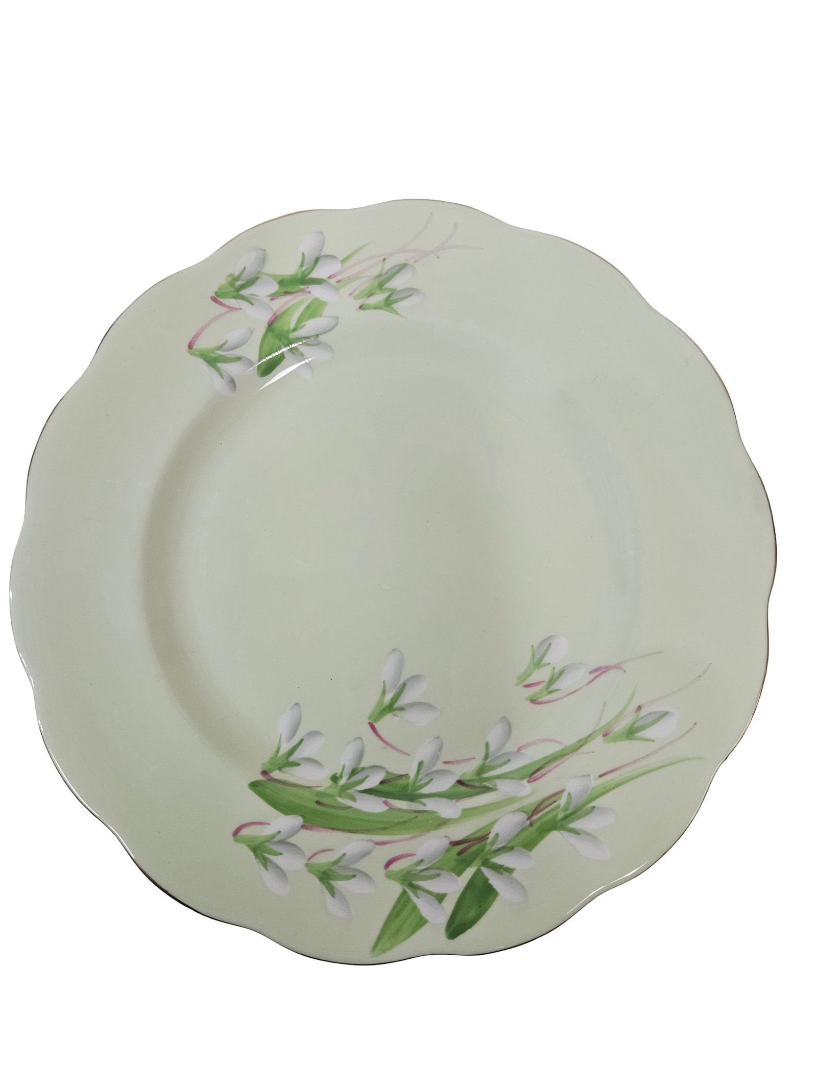 Assorted English Bone Plates - 4pc - 6