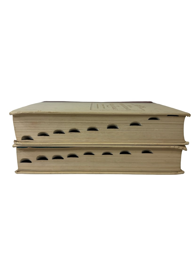 New Webster Dictionary 2-Volume Set - 3