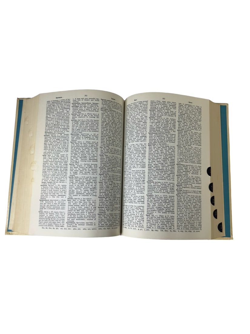 New Webster Dictionary 2-Volume Set - 4