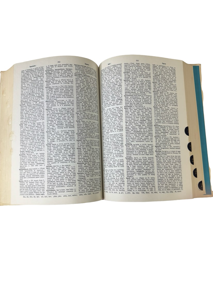 New Webster Dictionary 2-Volume Set - 5