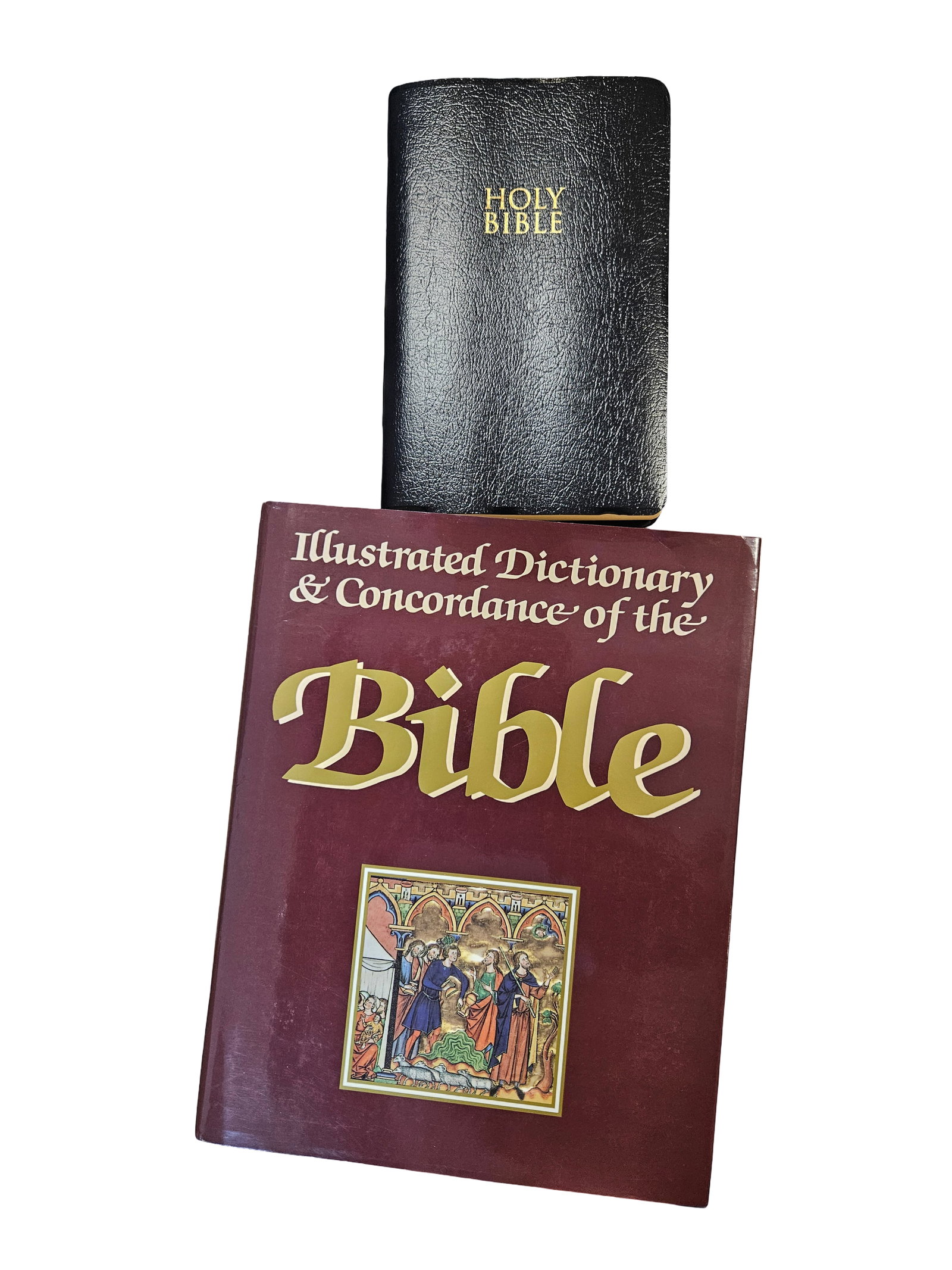 Illustrated Bible Dictionary and Concord (1 of 5)