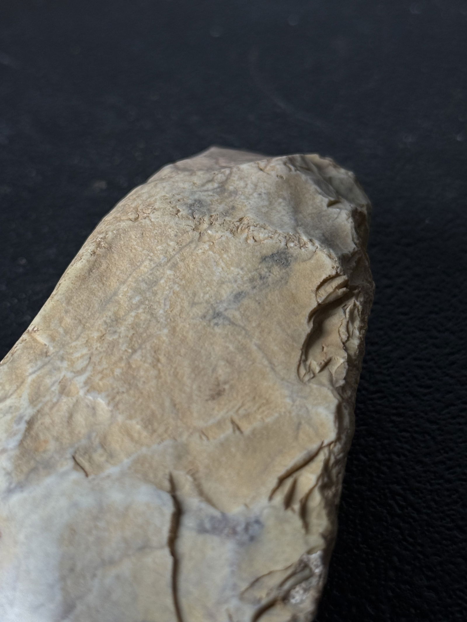 Carved Stone Implement / Ritual Fragment - 3