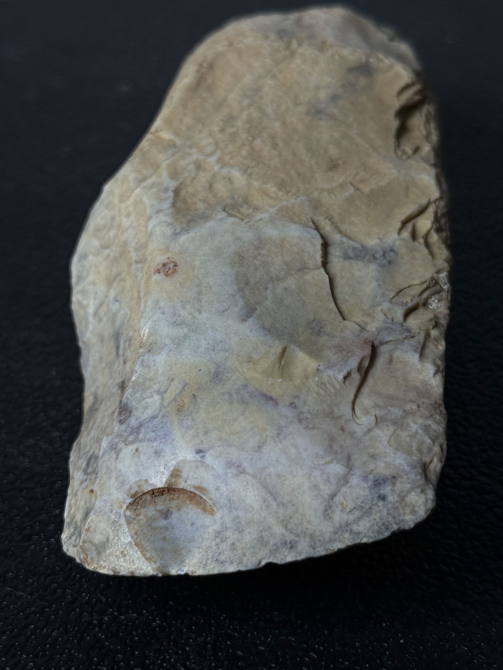 Carved Stone Implement / Ritual Fragment - 4