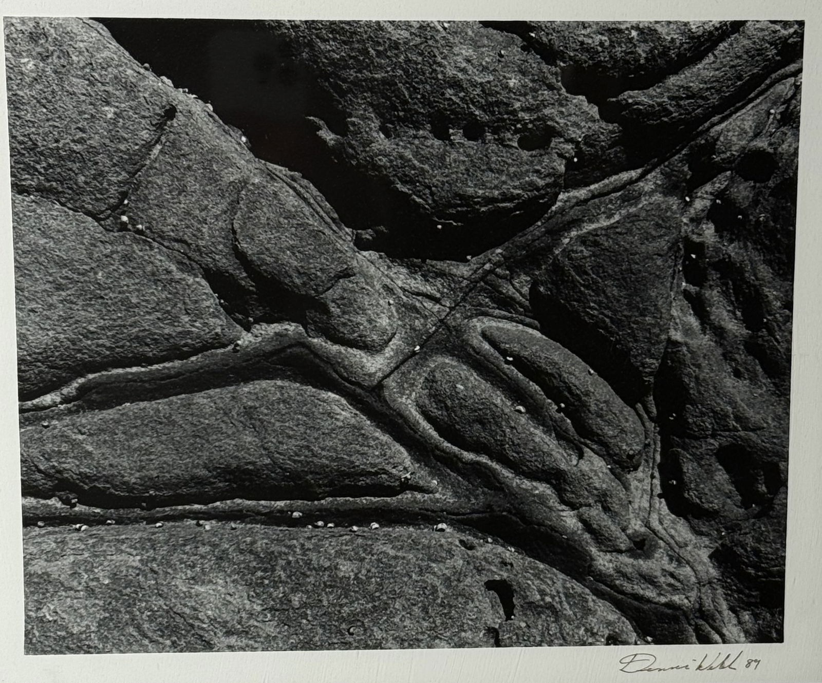 Dennis Hill Signed 1987 Fine Art Black and White Landscape Photograph (1 of 7)