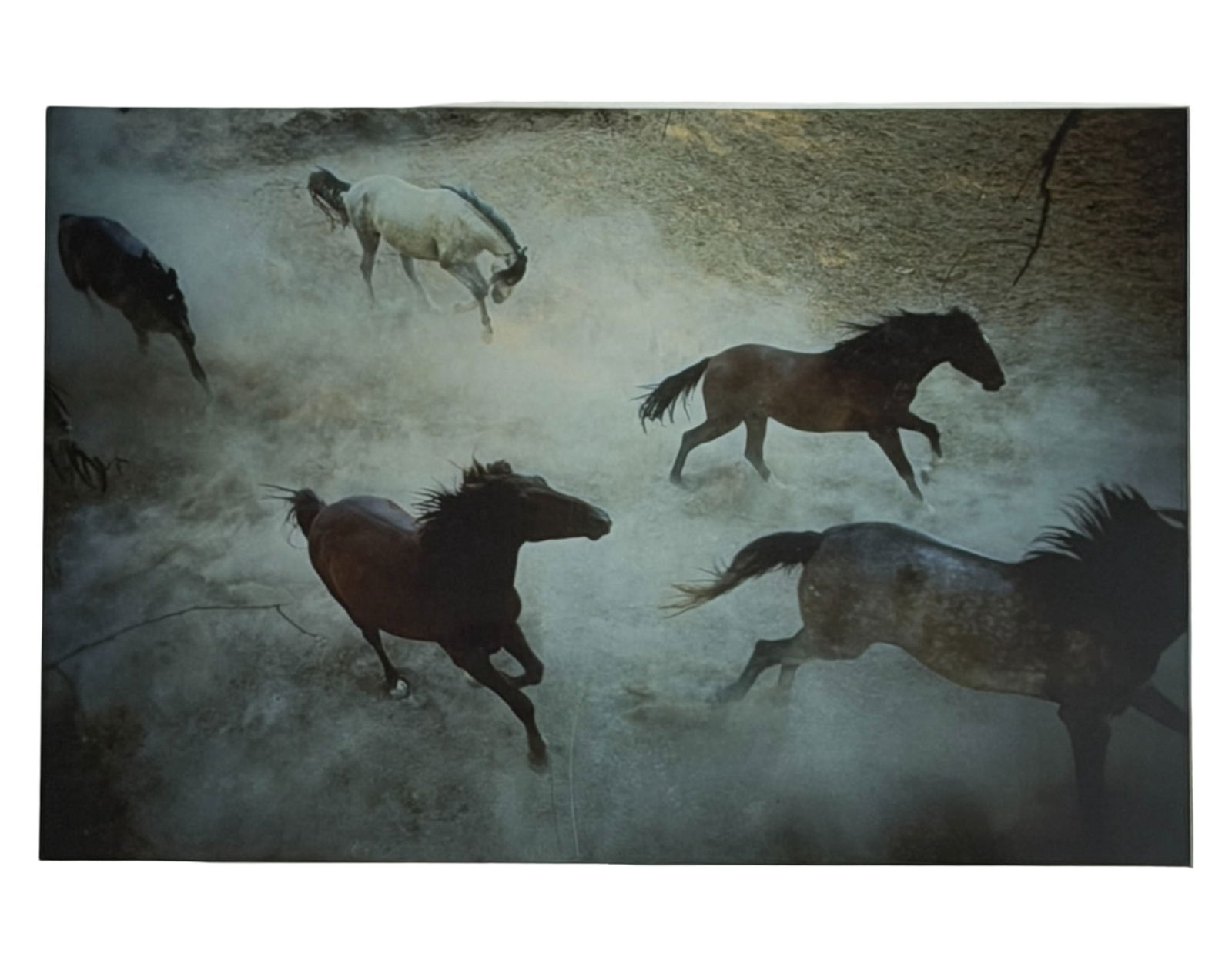 Horse Artwork Signed Robert: Decorative print depicting running horses; likely modern reproduction; framed.