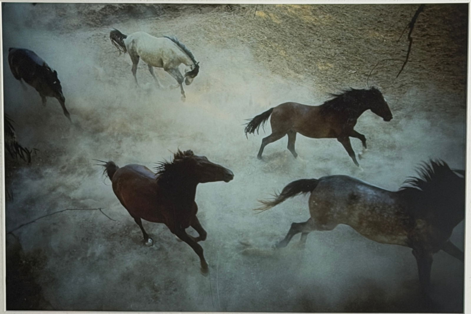 Horse Artwork Signed Robert - 2