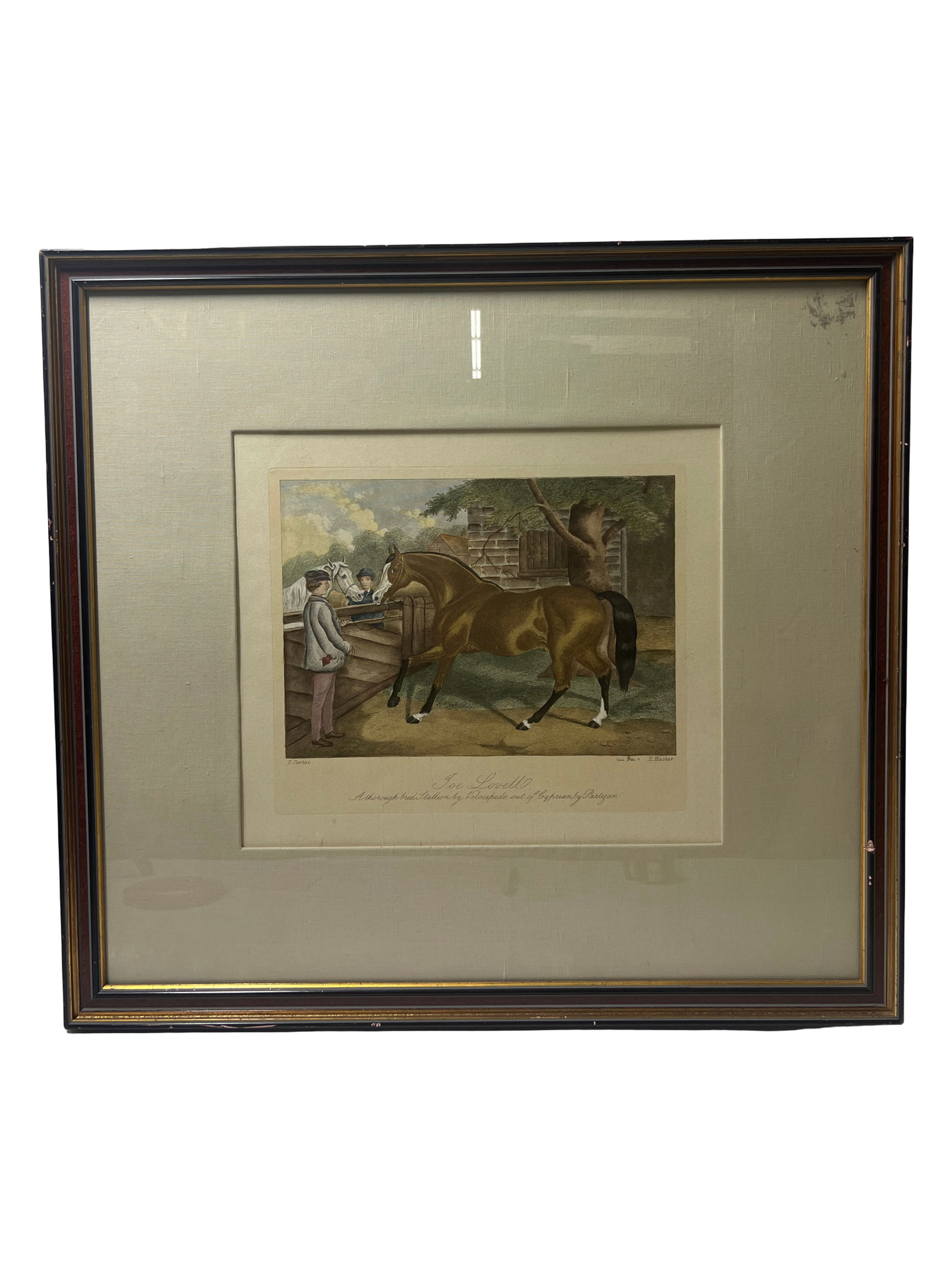 Antique 1800's Horse Print - Joe Lovell - A Thorough Bred Stallion by Velocipede: Antique 1800's Horse Print - Joe Lovell - A Thorough Bred Stallion by Velocipede