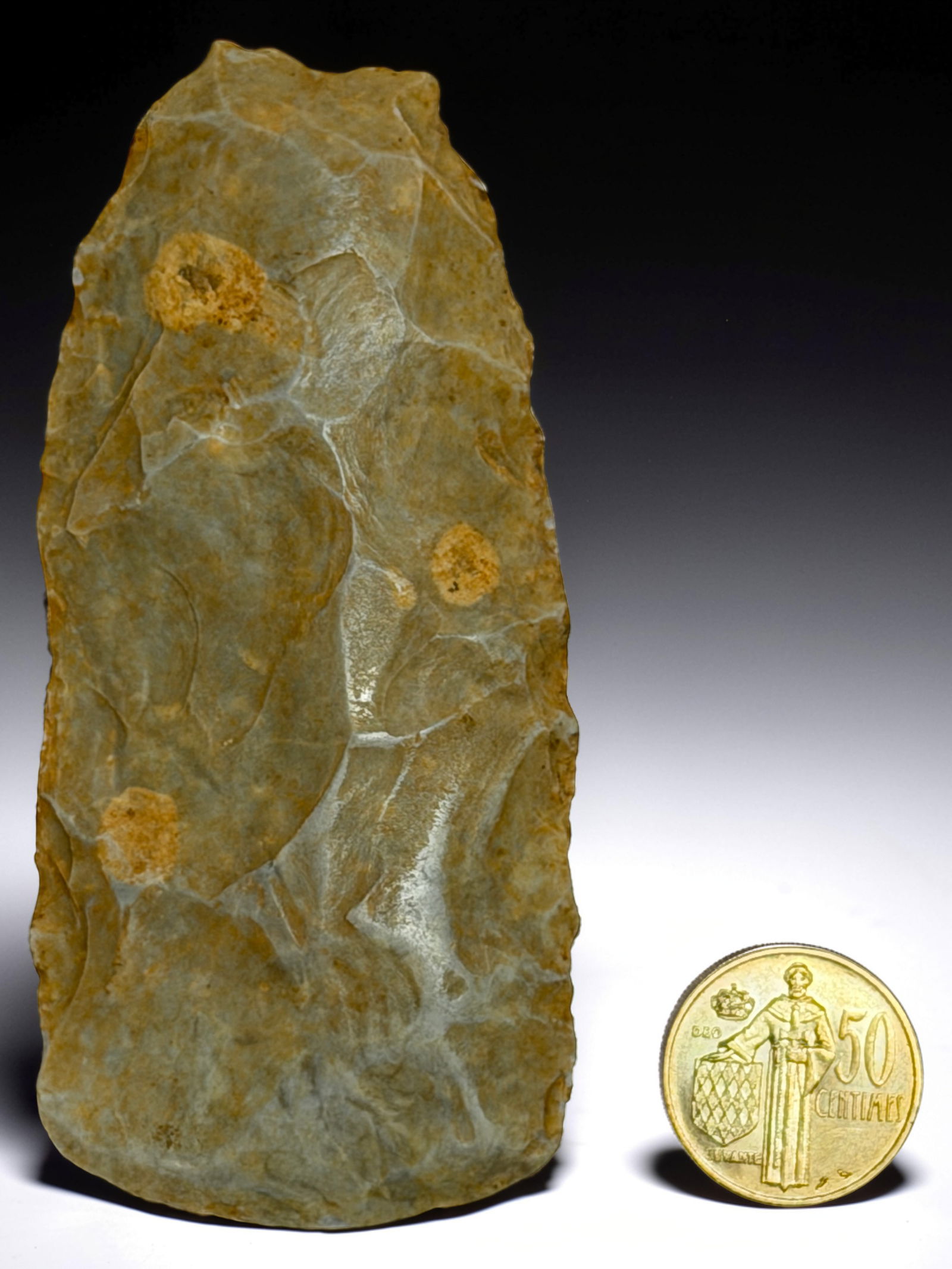 NEOLITHIC STONE CHISEL TOOL BLADE: Light-colored flint tool with distinct shaping and surface wear.