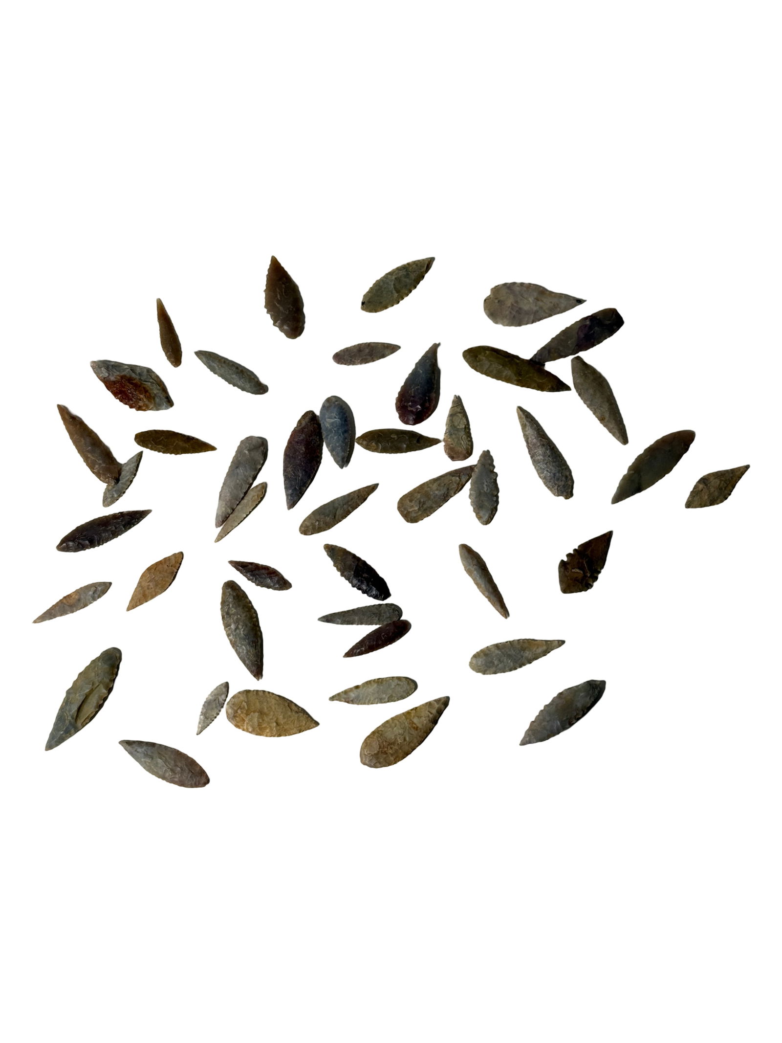 Collection of Arrowheads: Group of elongated stone projectile points