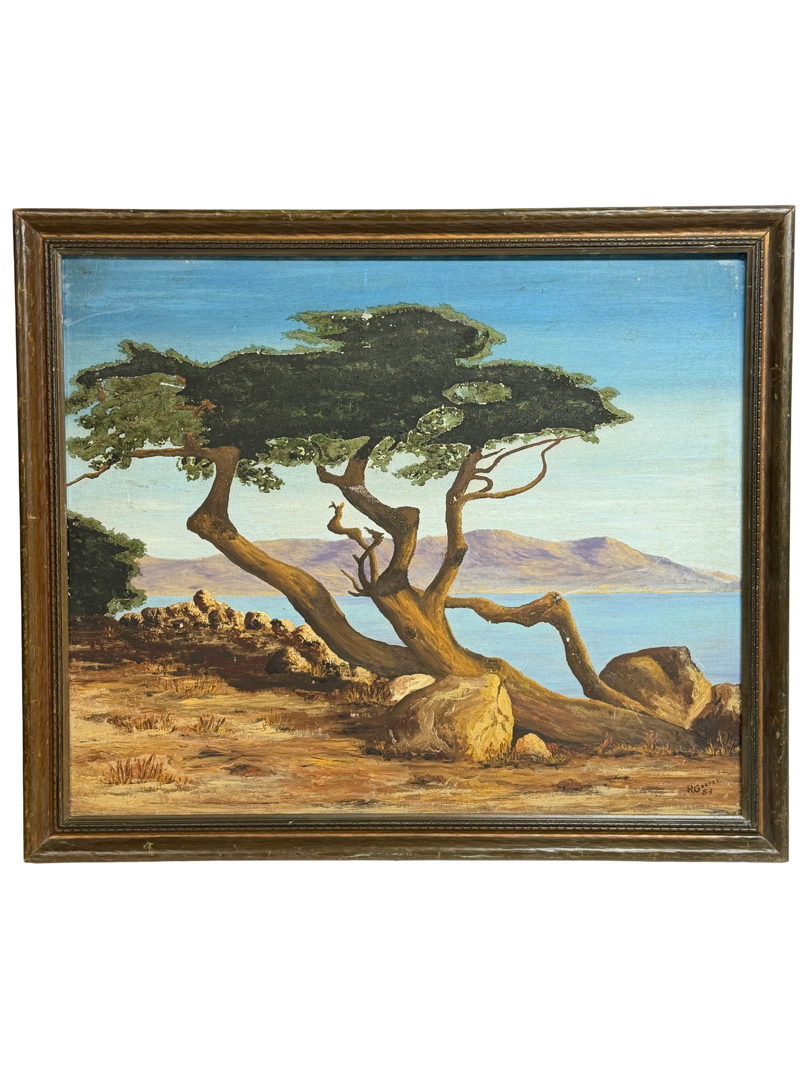 Vintage Mid Century Coastal Landscape Oil Painting (Signed R. Goryza, 1954): Oil on canvas depicting a coastal landscape with a windswept tree in the foreground overlooking water and distant hills. Signed lower right ?R. Goryza? and dated 1954. Framed.