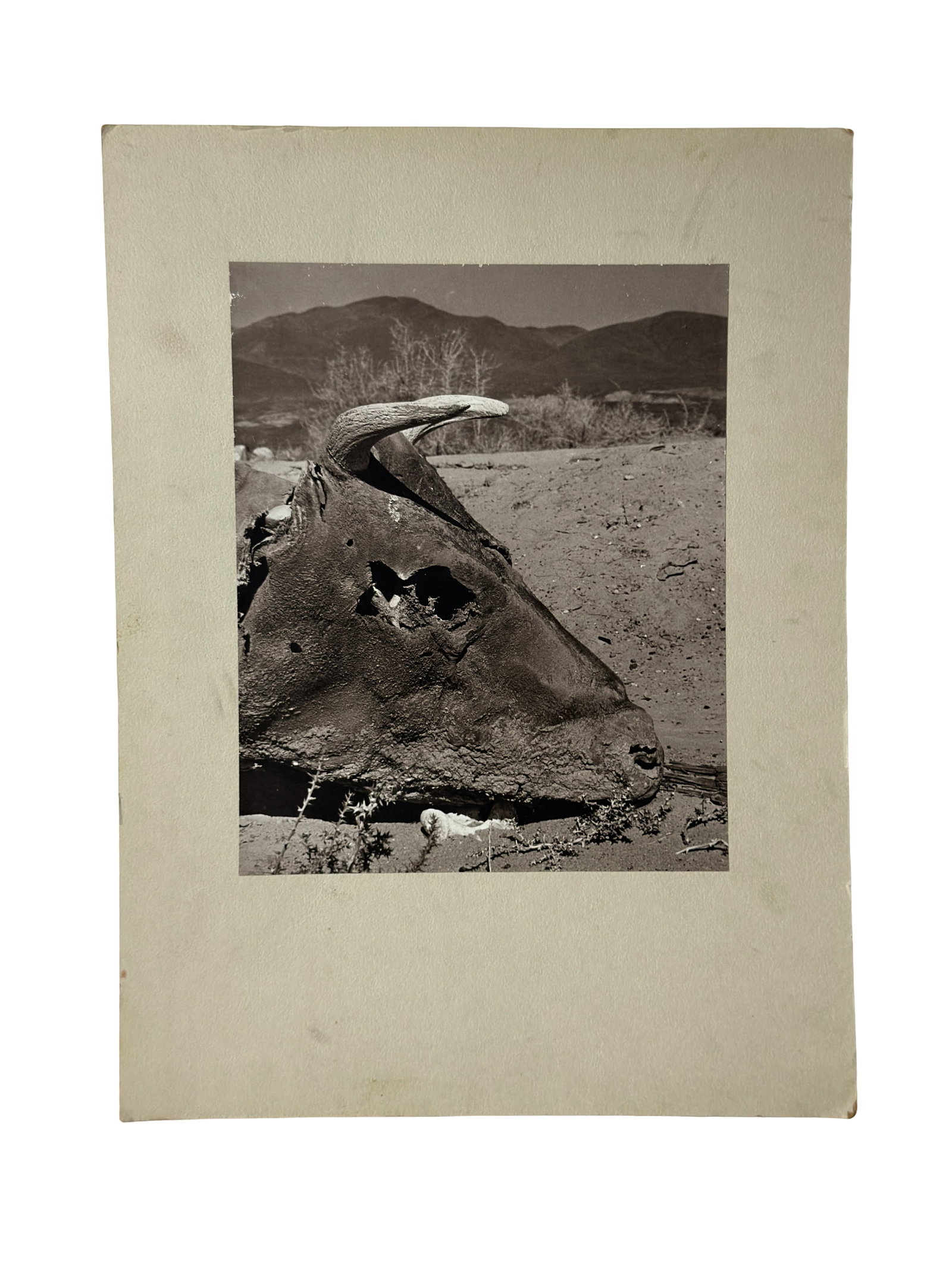 Vintage Silver Gelatin Photography (1 of 7)