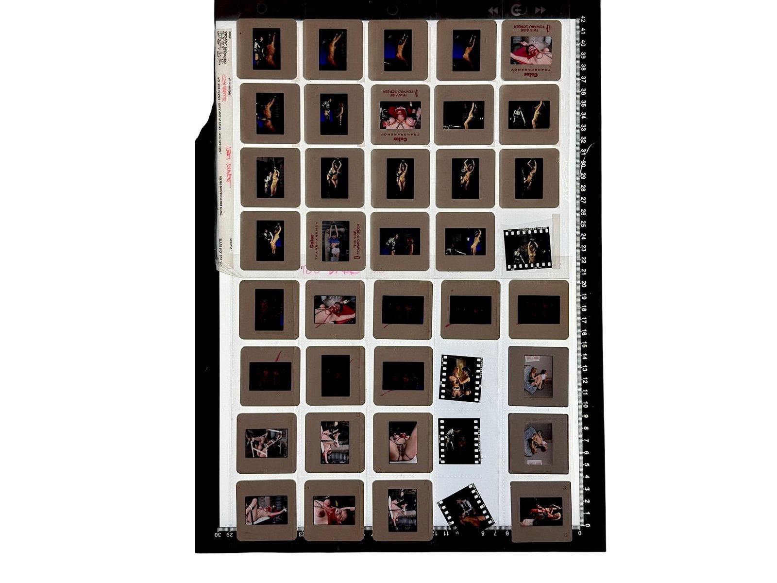 Nude Erotic Color Transparency Archive with Contact Sheets (1 of 5)