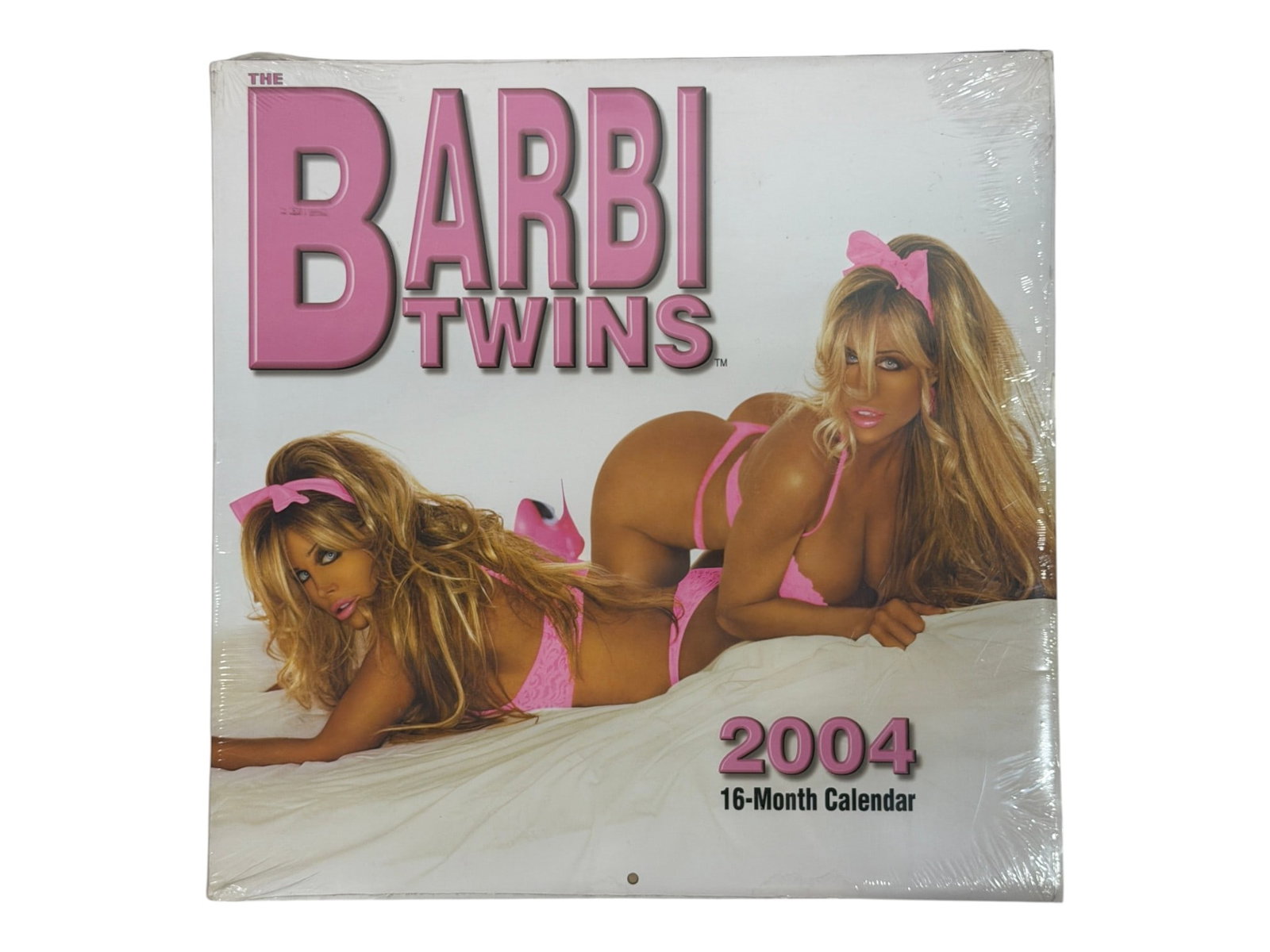 Barbie Twins 2004 Calendar: Factory-sealed 2004 Barbie Twins 16-month wall calendar.