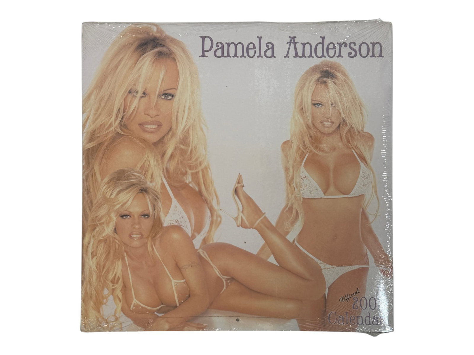 Pamela Anderson Official 2003 Calendar: Sealed Pamela Anderson official wall calendar featuring promotional photography.