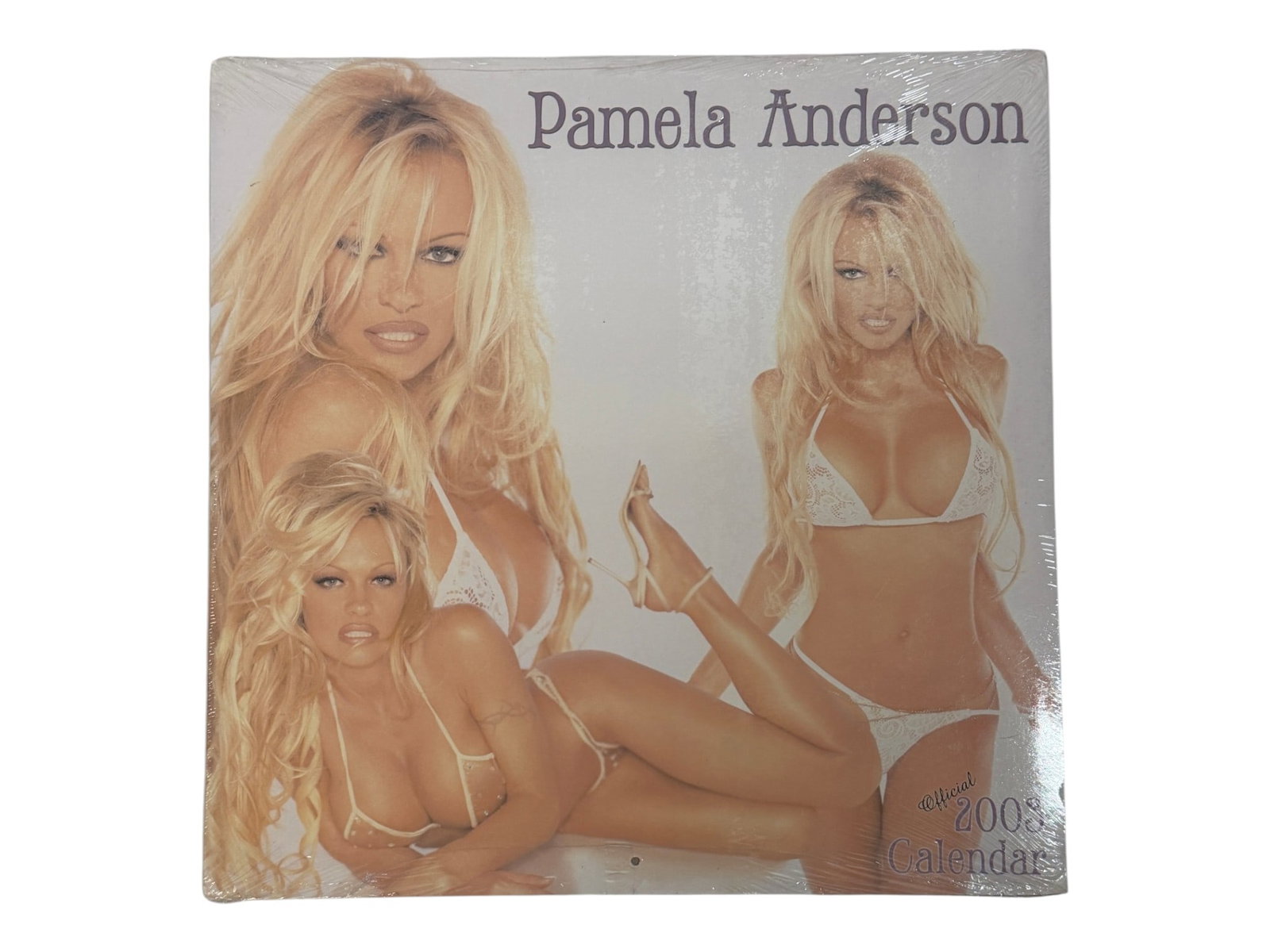 Pamela Anderson Official 2003 Calendar (1 of 3)