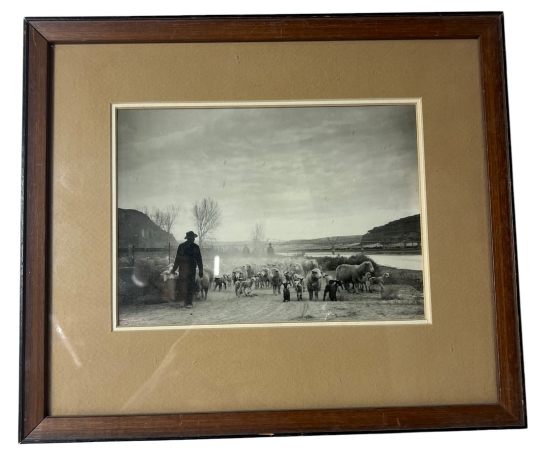 Shepherd and Flock Photograph (1 of 4)