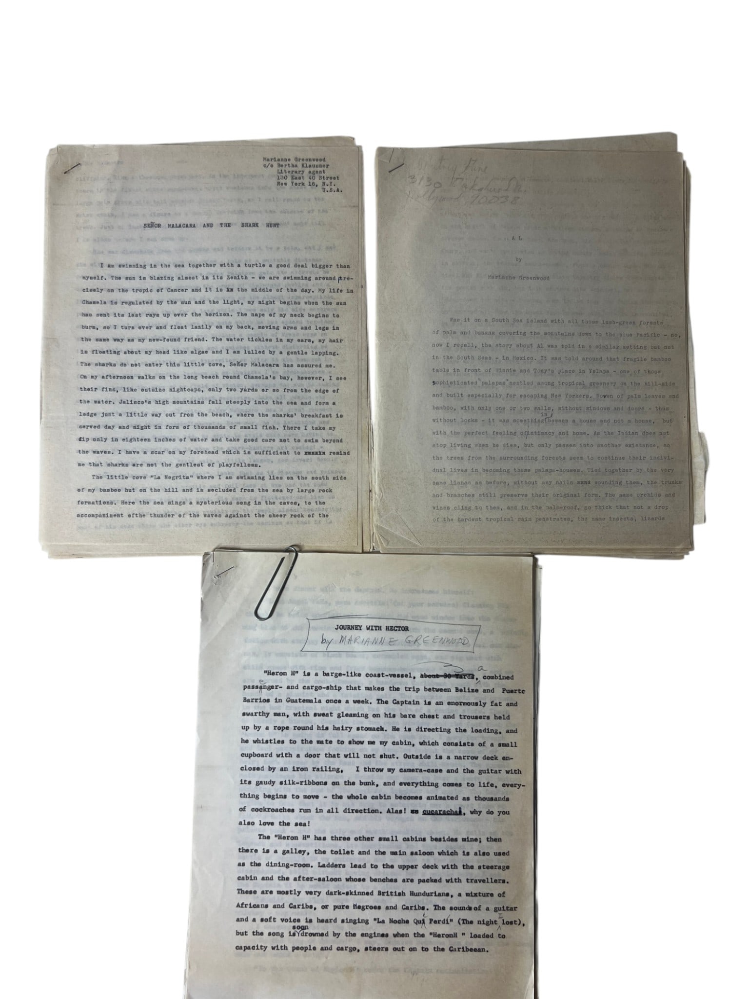 Marianne Greenwood Manuscript Group (1 of 7)
