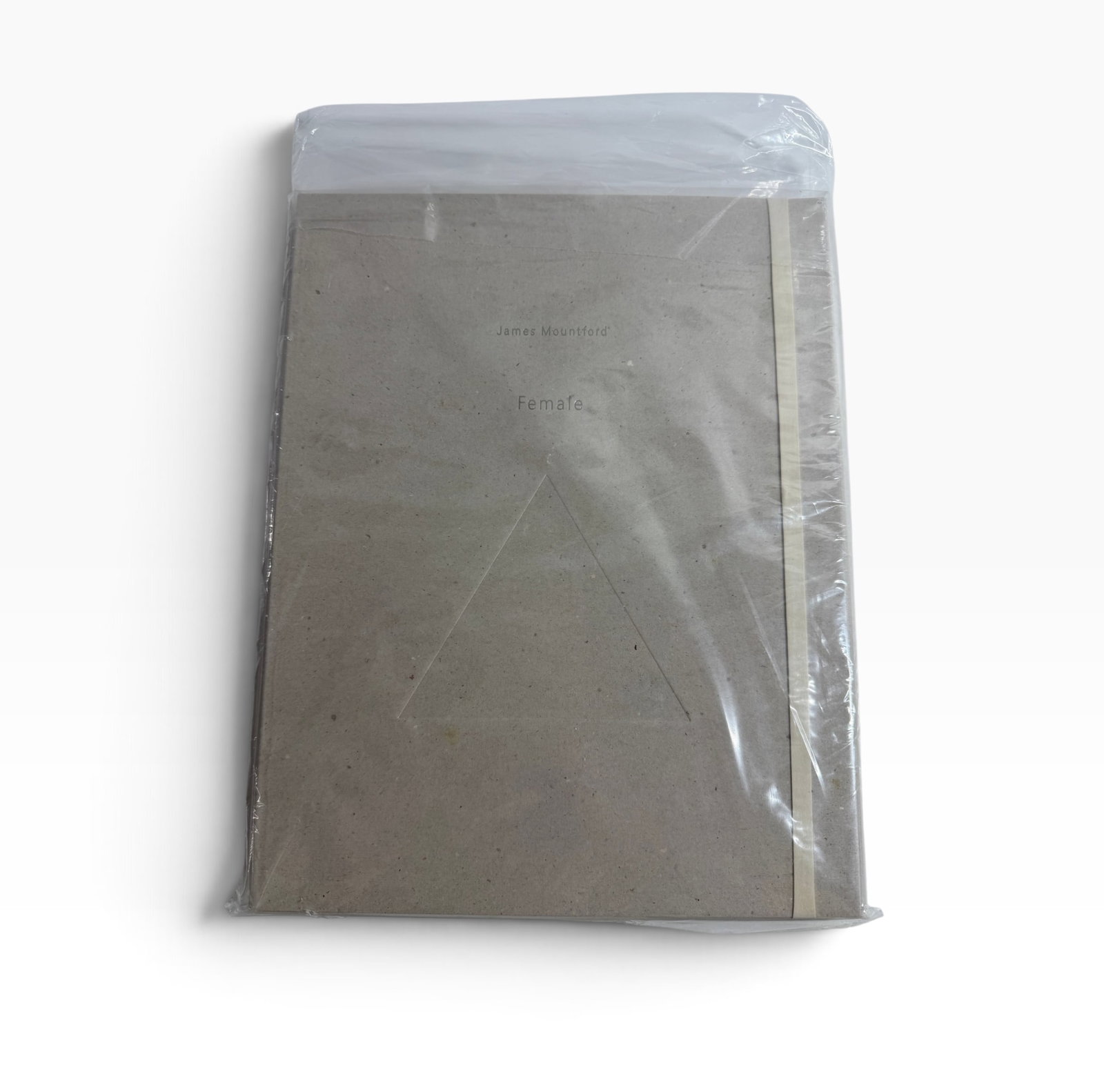 James Mountford Female Artist Book Portfolio Sealed Adilt Nude: Second copy of James Mountford?s ?Female,? presented in a protective clear sleeve with minimalist gray cover. Appears unopened or preserved in wrapping. Sold as shown.