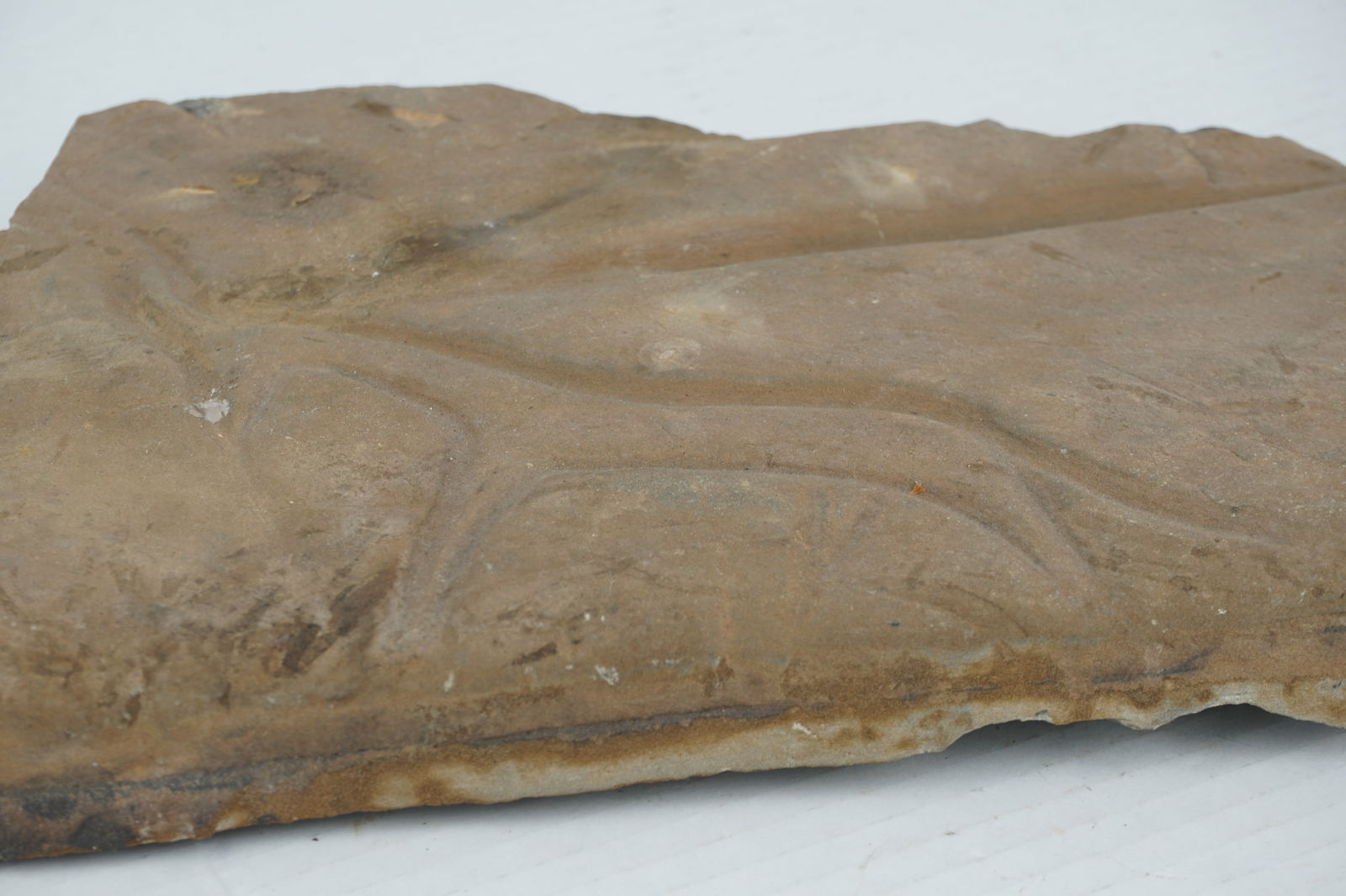 Petroglyph Rock Carving - 3