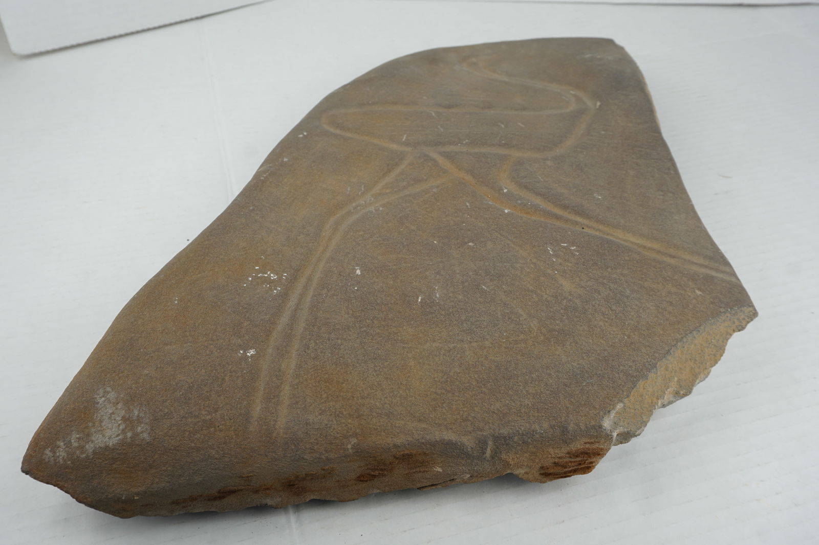 Petroglyph Rock Carving - 2