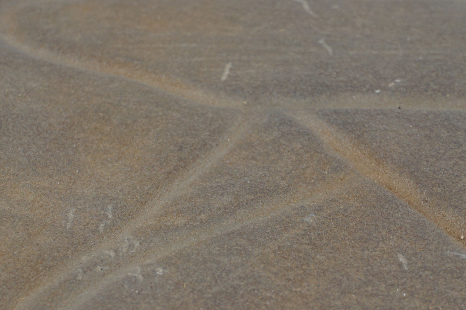 Petroglyph Rock Carving - 3