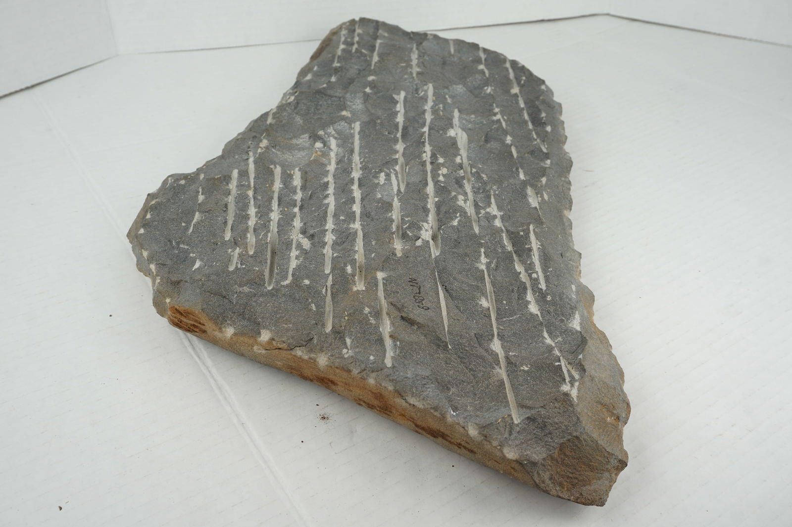 Petroglyph Rock Carving - 4