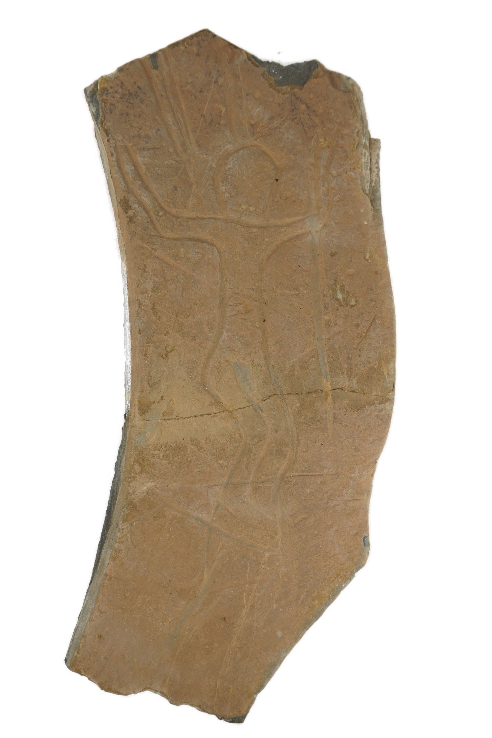 Petroglyph Rock Carving: A petroglyph carving of a human figure with raised arms, probably a worshipper. Dated from the Neolithic, Bubalus period, ca 5000 BC. Made in sandstone. Originating from Tazarin, South Morocco.