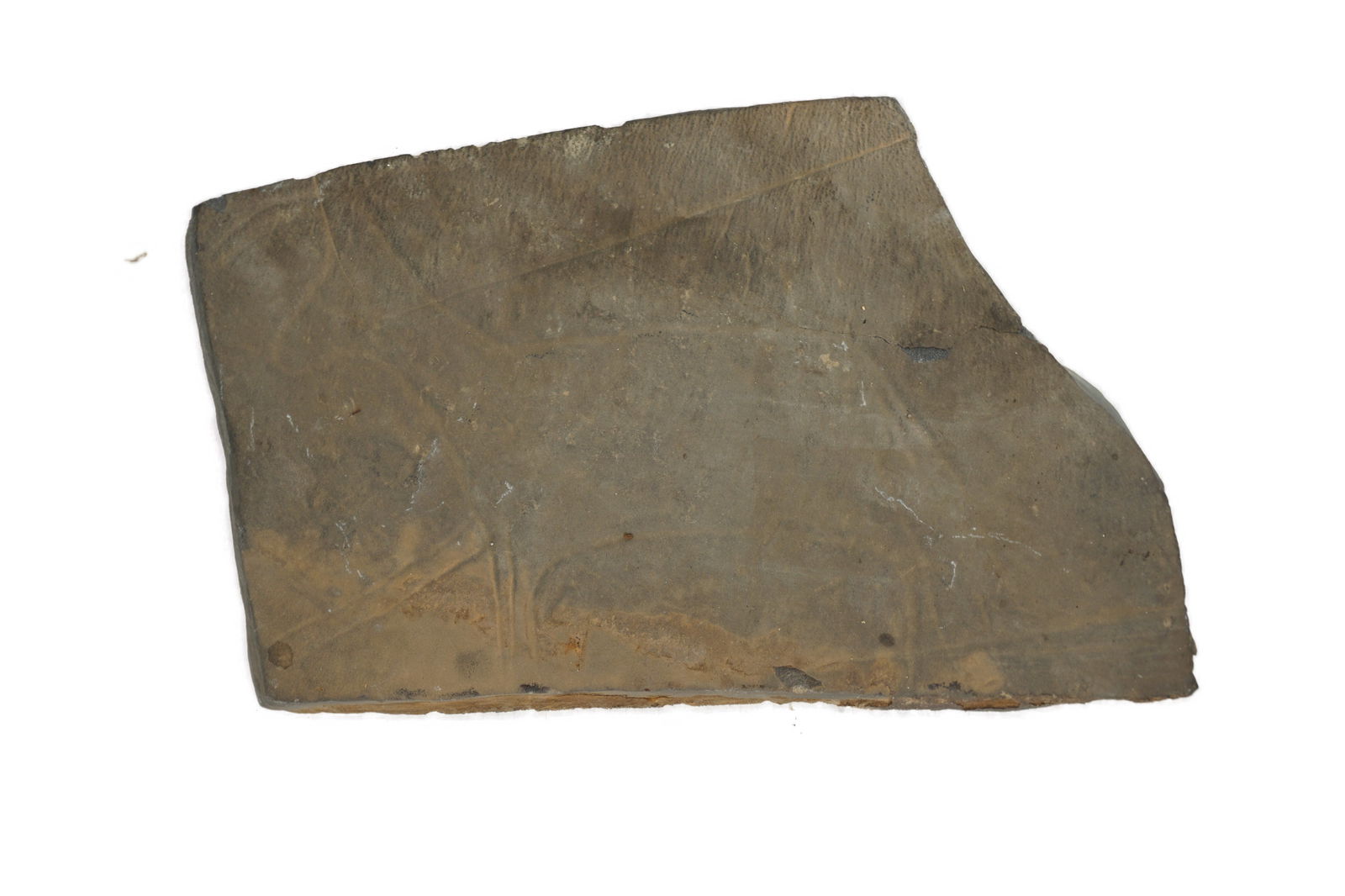 Petroglyph Rock Carving: A petroglyph carving of an animal figure. Dated from the Neolithic, Bubalus period, ca 5000 BC. Made in sandstone. Originating from Tazarin, South Morocco. Previously sold by Primigenius in 2003.