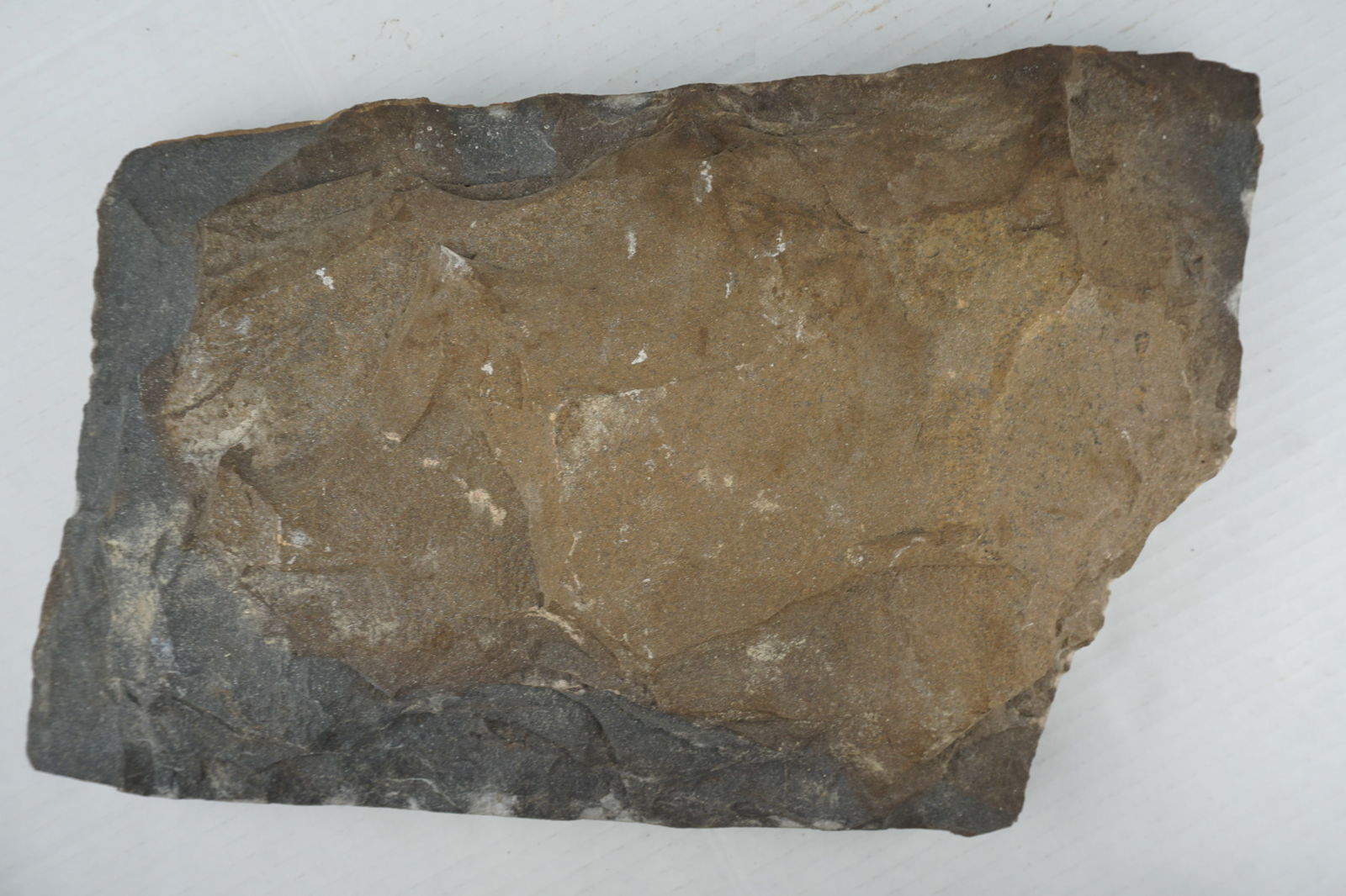 Petroglyph Rock Carving - 2