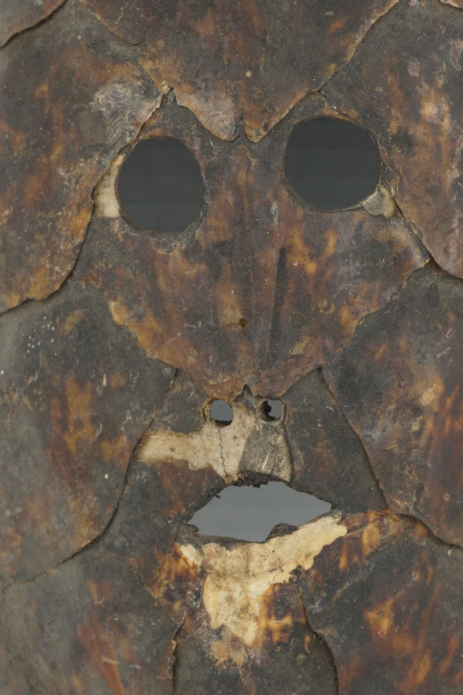 Torres Strait Turtle Shell Masks - 2