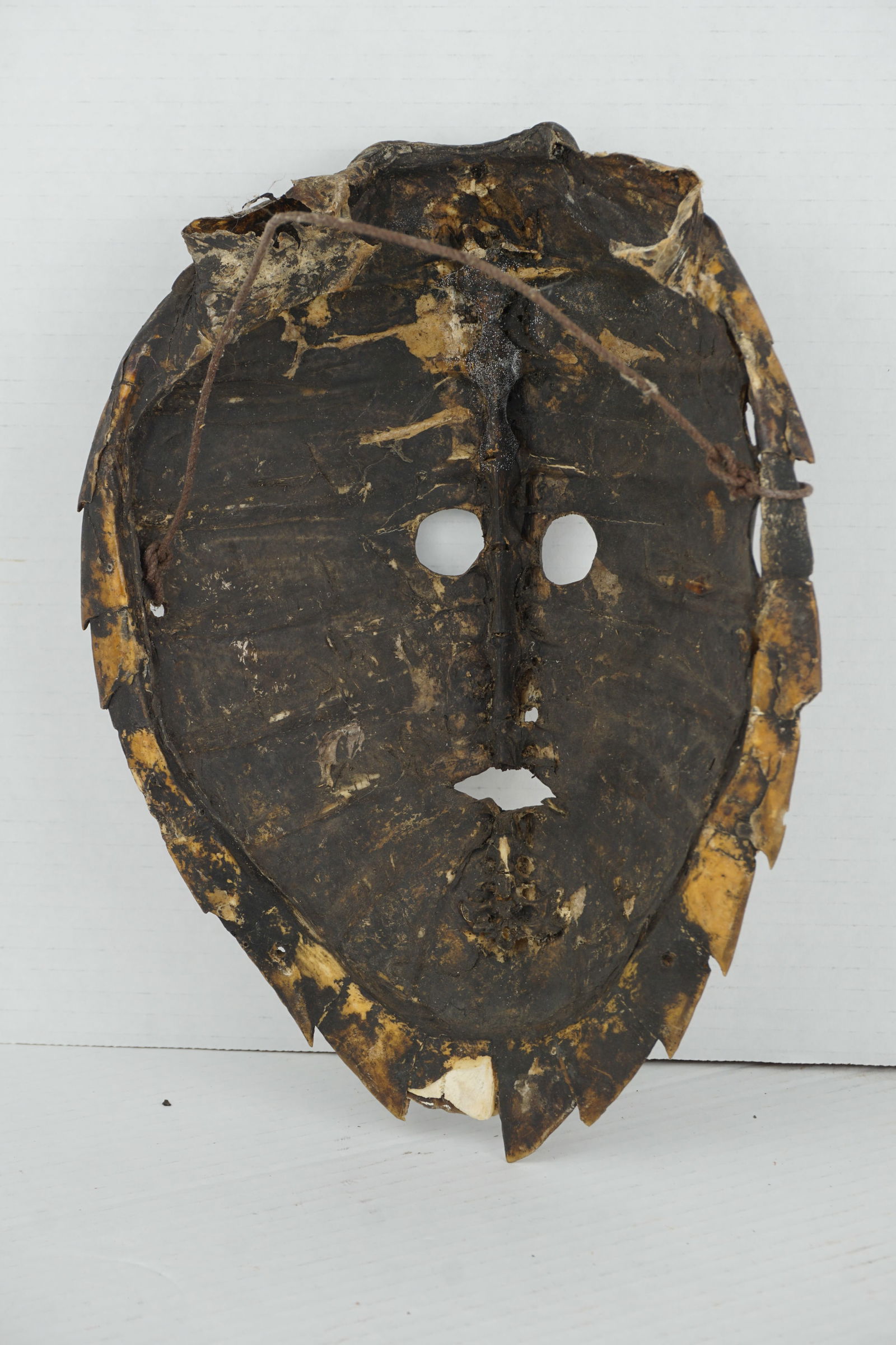 Torres Strait Turtle Shell Masks - 3