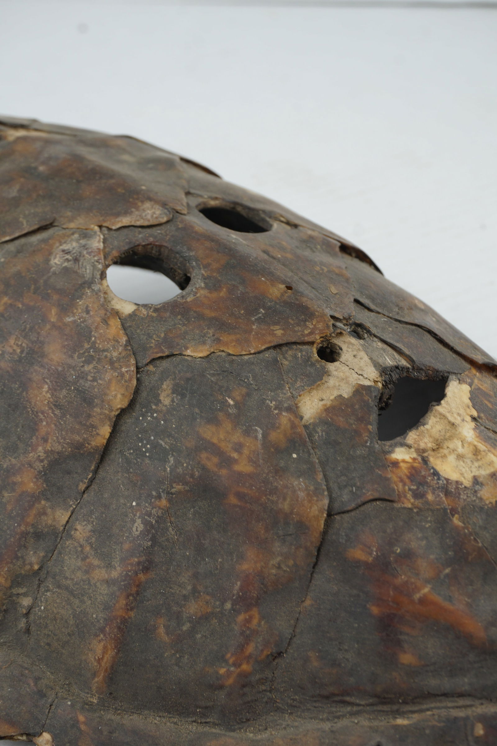 Torres Strait Turtle Shell Masks - 4