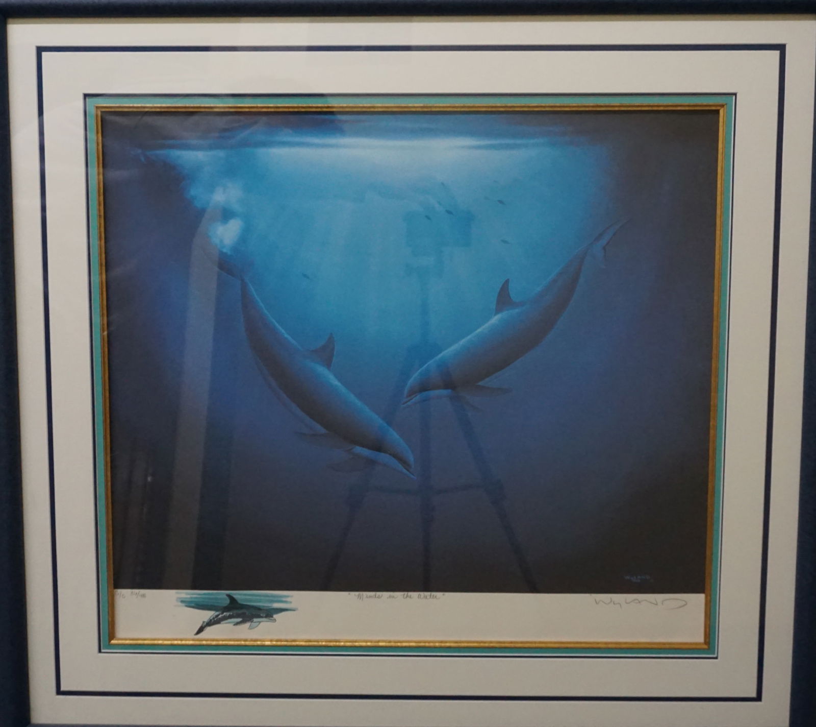 Robert Wyland "Minds in the water" Lithograph Dolphins (1 of 7)