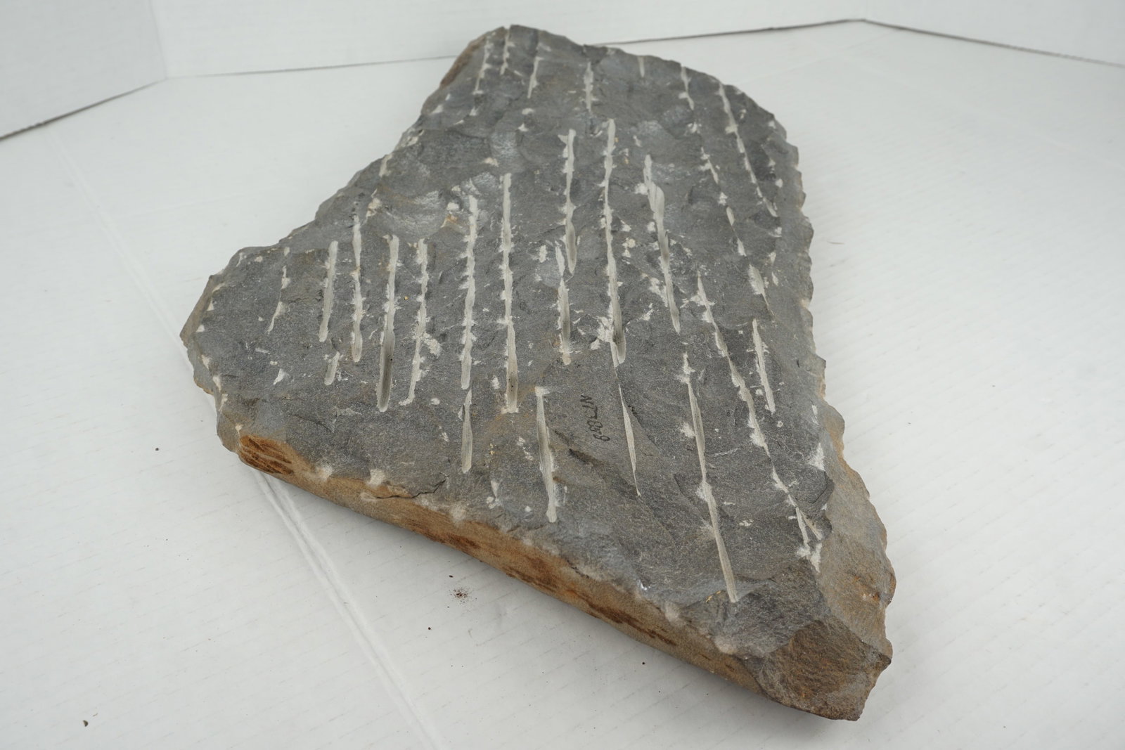 Petroglyph Rock Carving - 4