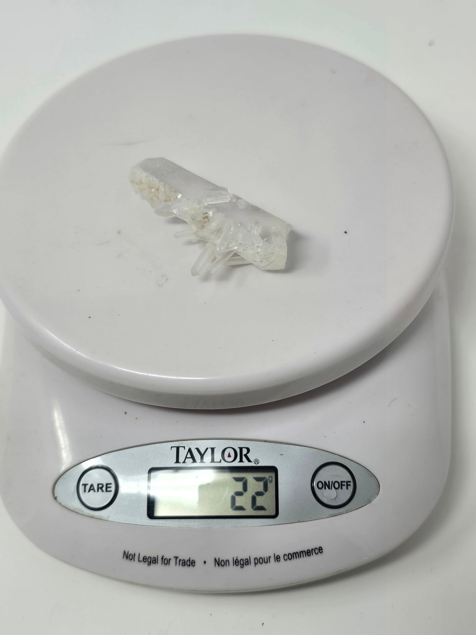 Carved Talc Trunk with Clear Quartz Crystal - 6