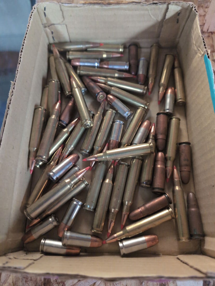 Assorted Mixed Caliber Ammunition Lot (1 of 1)