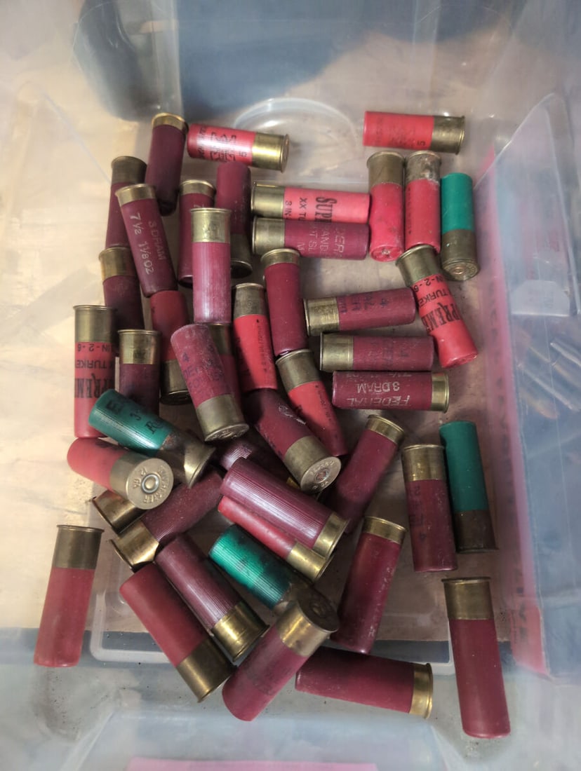 Assorted 12 Gauge Shotgun Shells (1 of 1)