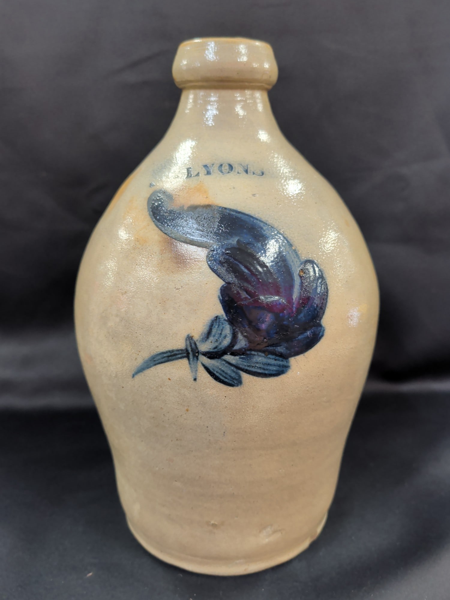Lyons, New York Ovoid Salt-Glazed Stoneware Jug wi: Antique Lyons, New York ovoid salt-glazed stoneware jug featuring a bold hand-painted cobalt blue plume decoration. The classic ovoid form, applied collar, and brushed cobalt motif are characteristic 
