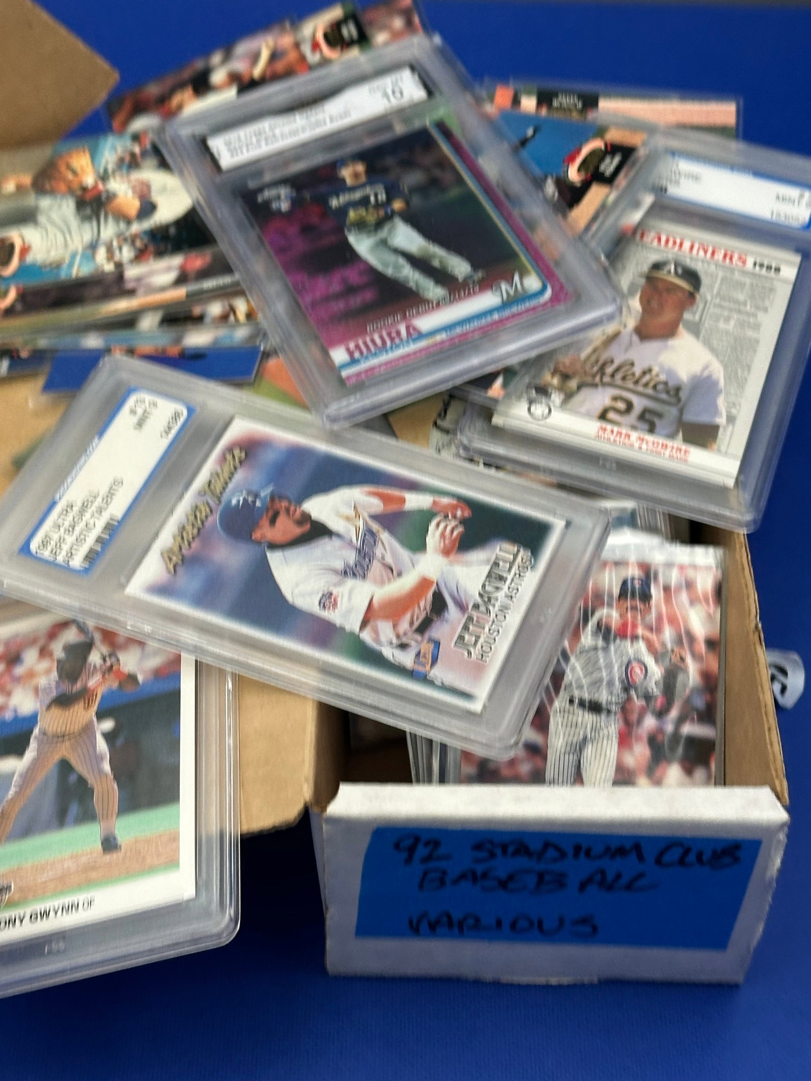 Box of Baseball Cards: Box of baseball cards, showcasing various players. Some cards are housed in protective cases. Notable players include Mark McGwire, Jeff Bagwell and Tony Gwynn, contributing to the collection's