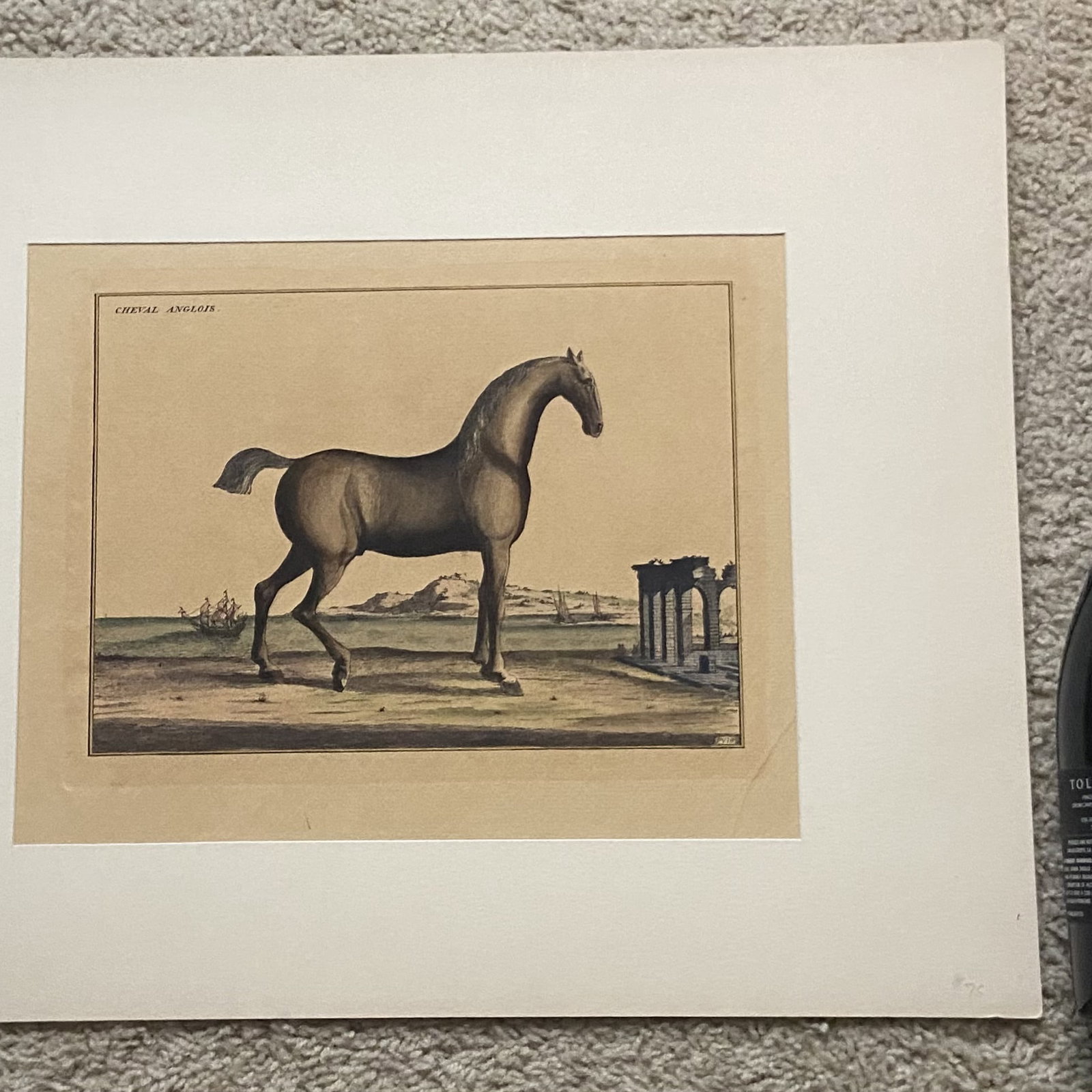 Antique Hand Colored Equine Print Ruin Landscape: Antique hand-colored lithograph or etching featuring a horse standing in front of classical ruins. The bottom of the print is marked with the code pv18