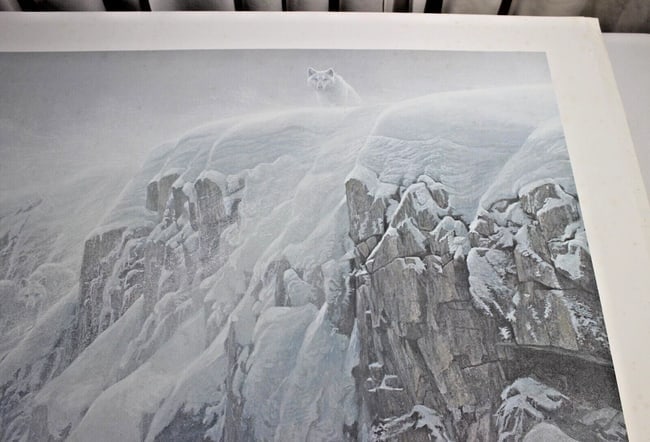 Arctic Cliff - White Wolves by Robert Bateman - 4