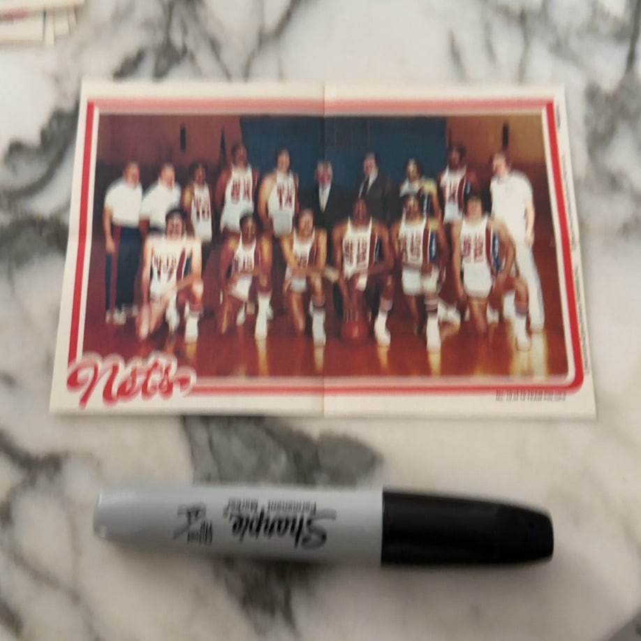 1975-76 New York Nets ABA Team Photo: A vintage team photograph poster of the 1975-76 New York Nets, the final championship-winning team of the American Basketball Association. The image features players, coaches, and staff posed in