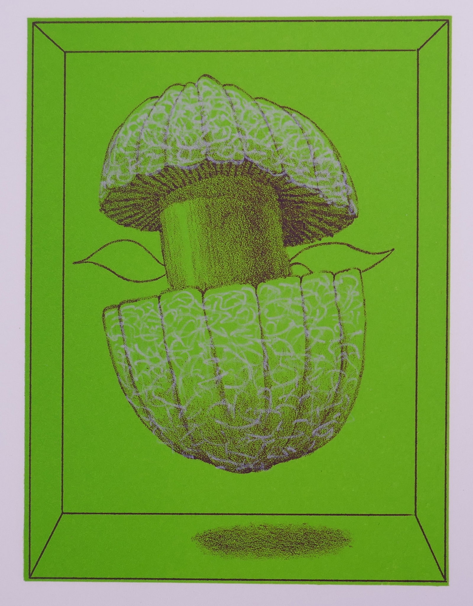 James Boynton, Coupled Mushrooms (Pandorasville Revisited VIII), 1967 Tamarind Color Lithograph (1 of 18)