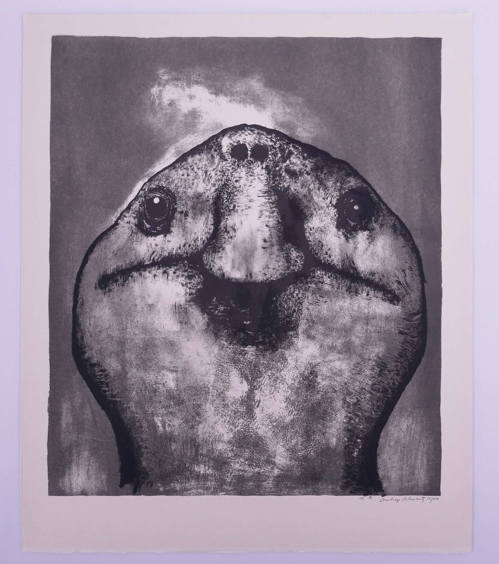 Aubrey Schwartz (American, 1928–2019), Giant Tortoise (Tortoise Head), from A Bestiary, 1962 (1 of 20)