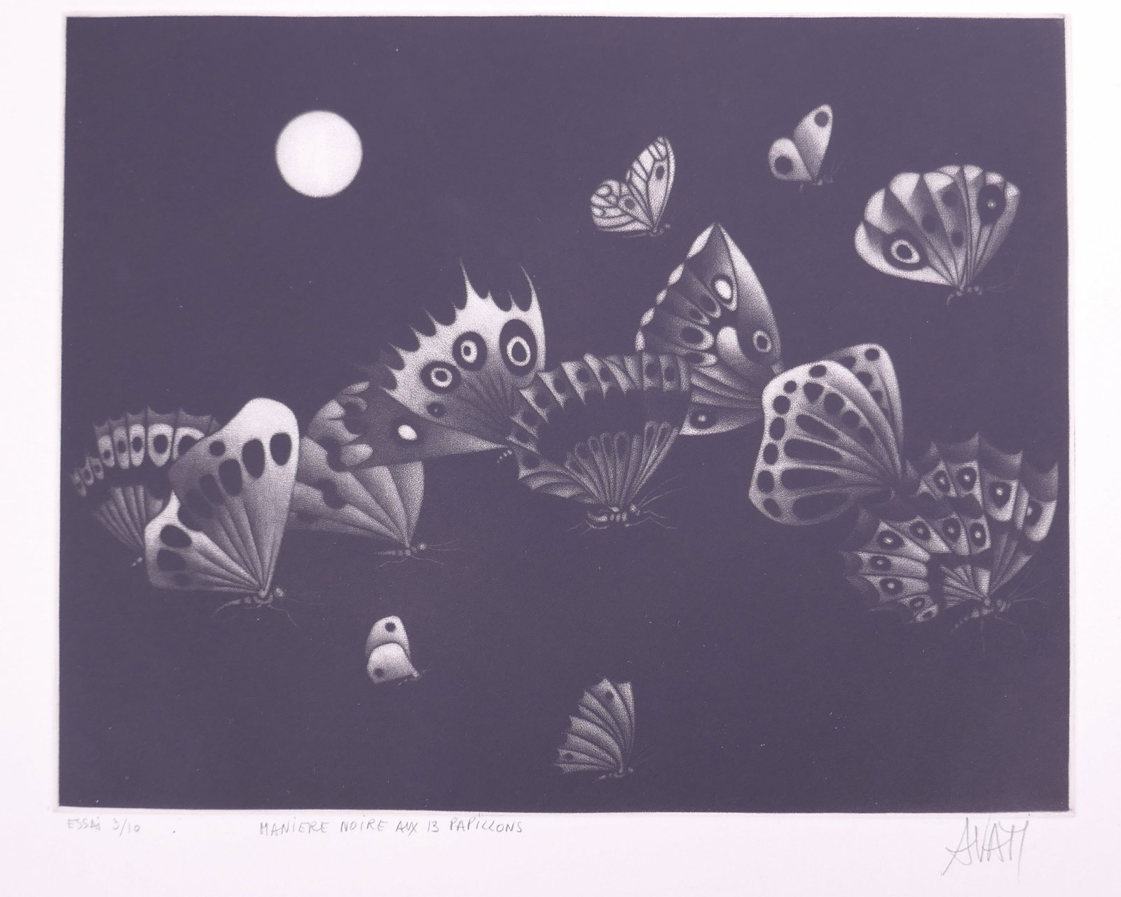 Mario Avati (French, 1921–2009), Manière noire aux 13 papillons, 1964 Mezzotint (1 of 20)